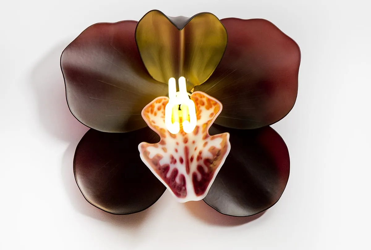 Les delicates orchidees de verre de Laura Hart 13 Les delicates orchidees de verre de Laura Hart 13