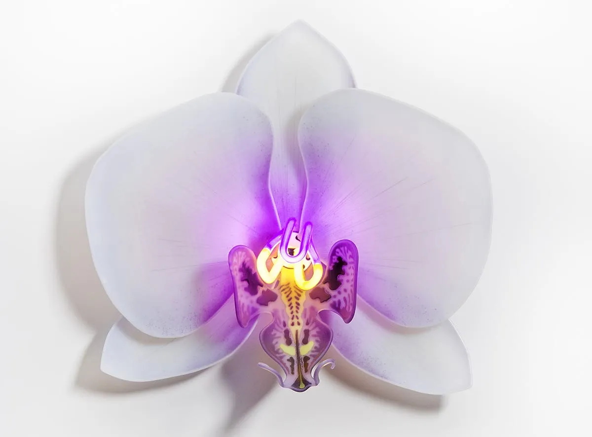 Les delicates orchidees de verre de Laura Hart 15 Les delicates orchidees de verre de Laura Hart 15