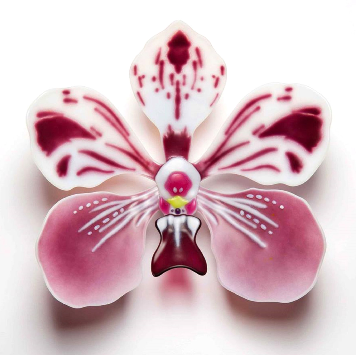 Orchidées de verre : l’art délicat (et un peu magique) de Laura Hart Les delicates orchidees de verre de Laura Hart 9 Les-delicates-orchidees-de-verre-de-Laura-Hart-9