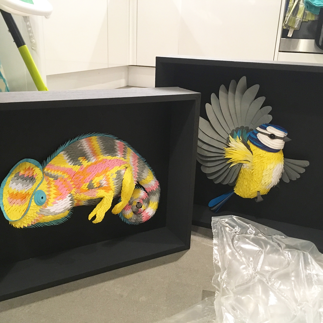 Les délicates sculptures d’animaux en papier de Lisa Lloyd Les delicates sculptures d animaux en papier de Lisa Lloyd 8 Les-delicates-sculptures-d-animaux-en-papier-de-Lisa-Lloyd-8