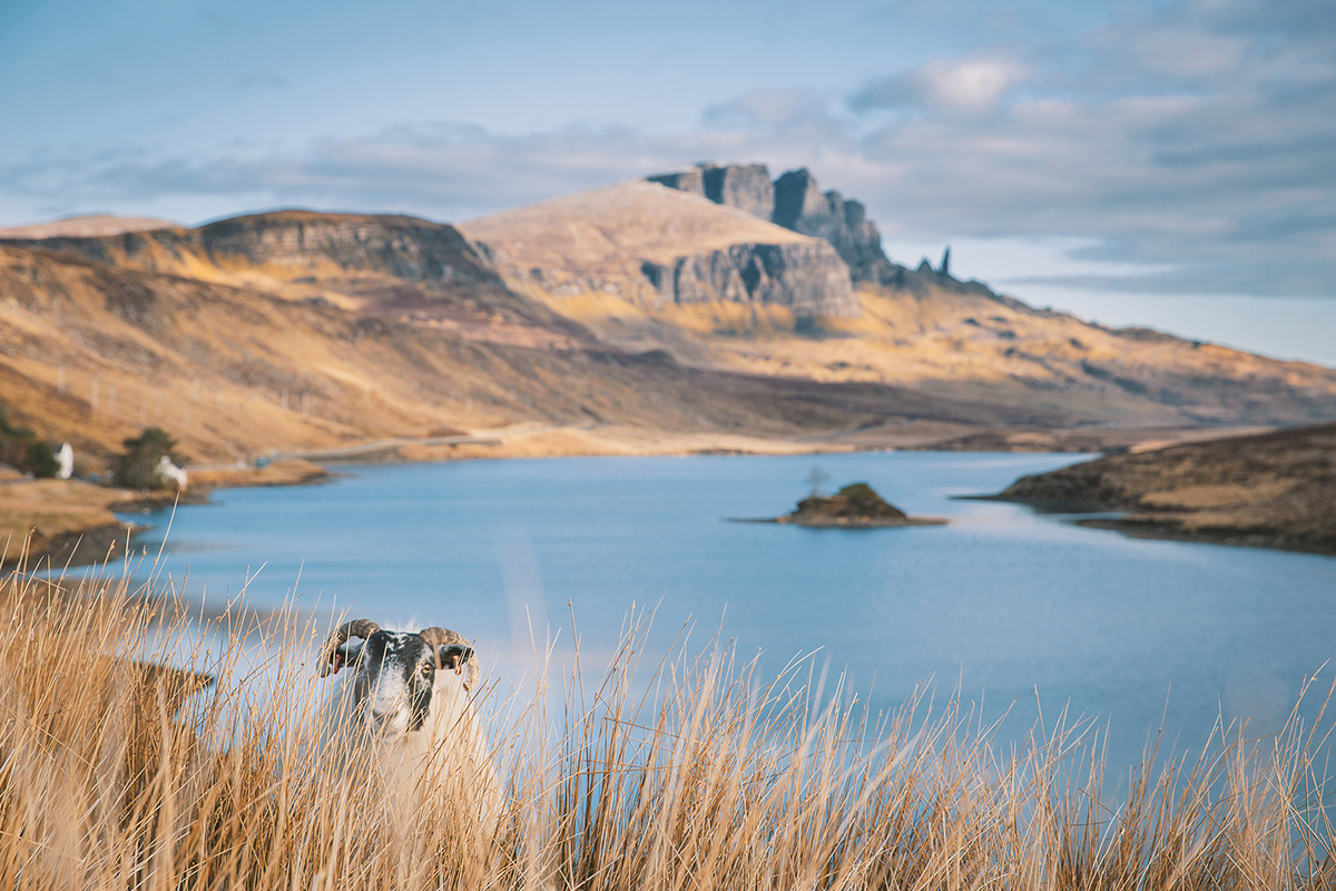 La beauté de l'île de Skye par Clément Lefer La beaute de l ile de Skye par Clement Lefer 4 La-beaute-de-l-ile-de-Skye-par-Clement-Lefer-4