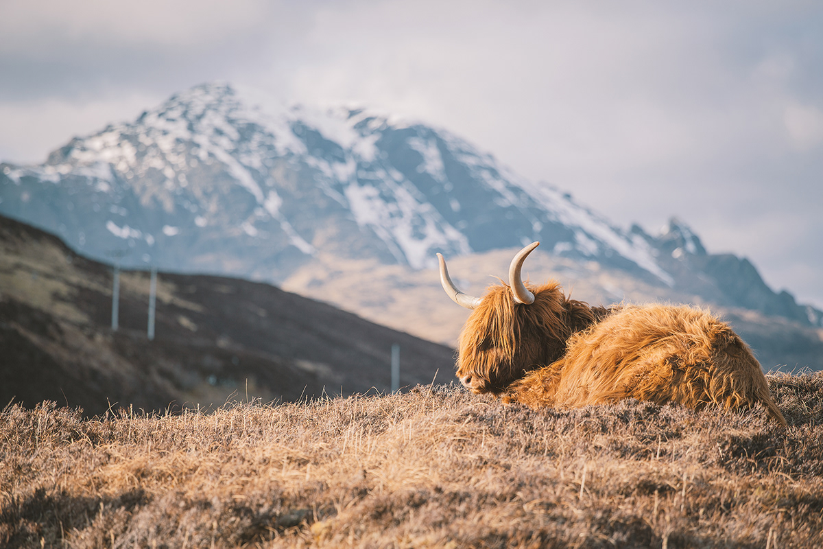 La beauté de l'île de Skye par Clément Lefer La beaute de l ile de Skye par Clement Lefer 9 La-beaute-de-l-ile-de-Skye-par-Clement-Lefer-9