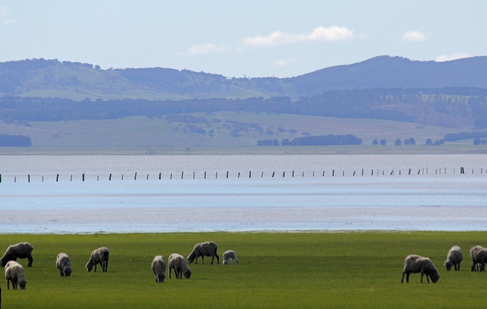 Le lac George, lac intermittent d'Australie Le lac George lac intermittent d Australie 4 Le-lac-George-lac-intermittent-d-Australie-4