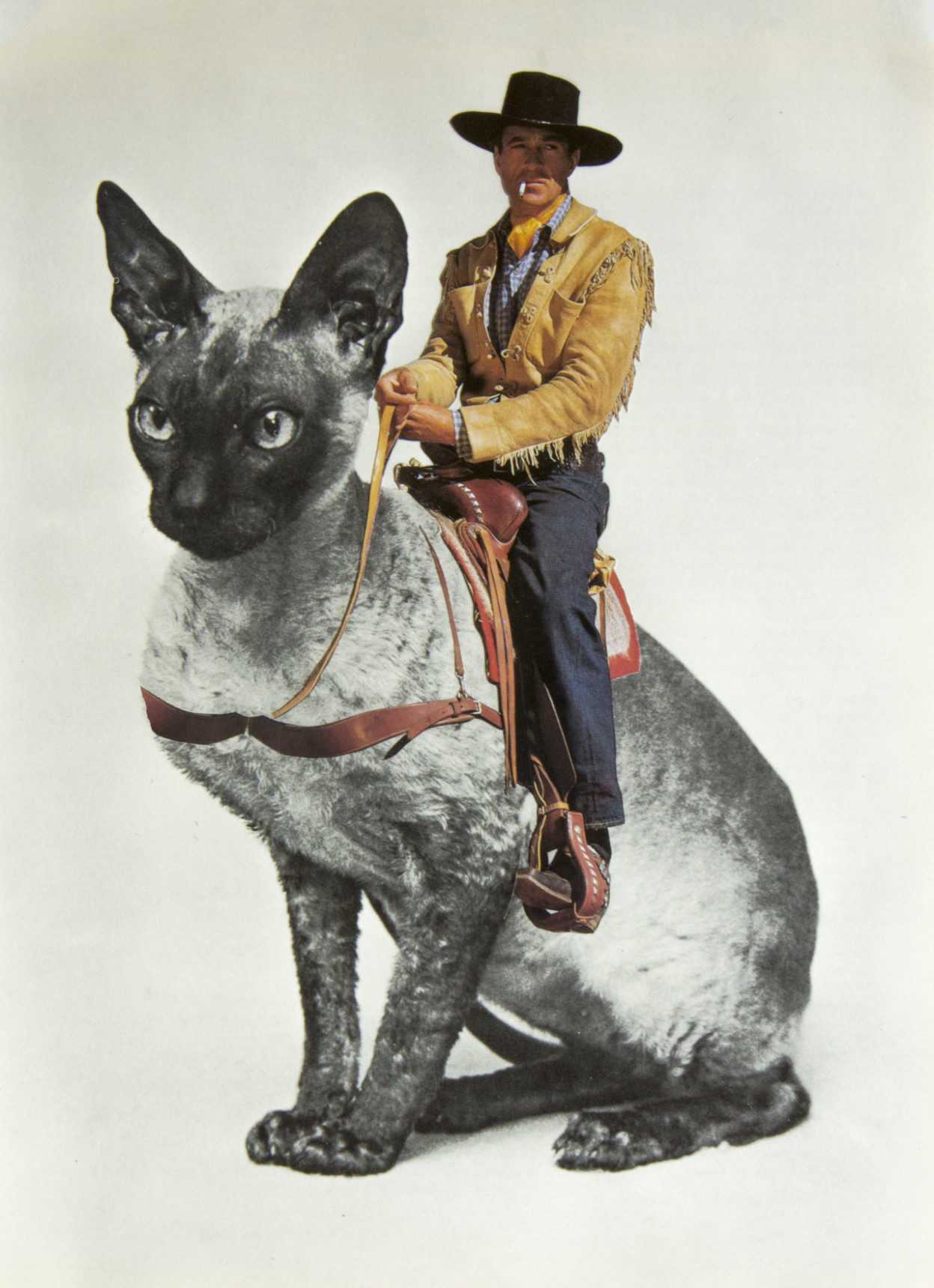 Les collages d'humains géants de Guillame Chiron Les collages d humains geants miniature de Guillame Chiron surrealiste 5 Les-collages-d-humains-geants-miniature-de-Guillame-Chiron-surrealiste-5