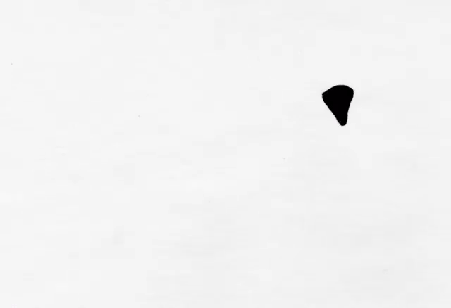 Phénakistiscope et rotoscopie: les étonnantes illusions d'optiques avec du papier de Matthias Brown Phenakistiscope et rotoscopie les etonnantes illusions d optiques avec du papier de Matthias Brown 3 Phenakistiscope-et-rotoscopie-les-etonnantes-illusions-d-optiques-avec-du-papier-de-Matthias-Brown-3