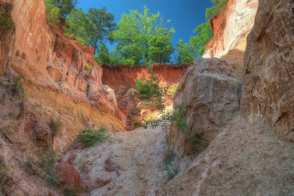 Providence Canyon: une merveille naturelle créée par l'homme Providence Canyon une merveille naturelle creee par l homme 3 Providence-Canyon-une-merveille-naturelle-creee-par-l-homme-3