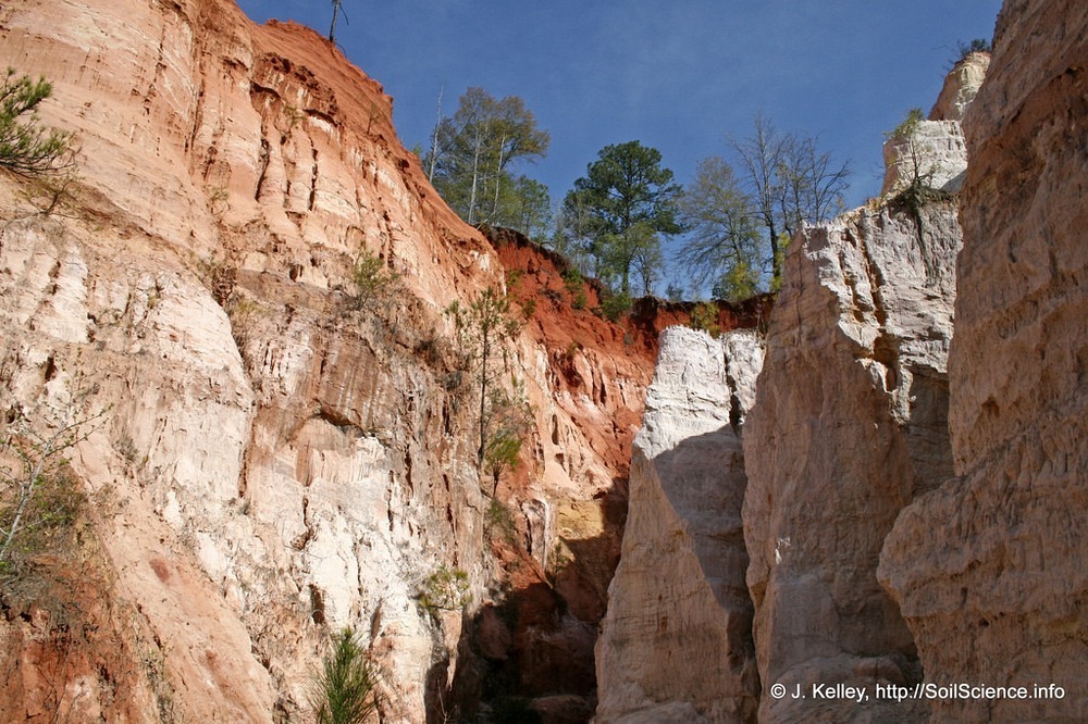 Providence Canyon: une merveille naturelle créée par l'homme Providence Canyon une merveille naturelle creee par l homme 5 Providence-Canyon-une-merveille-naturelle-creee-par-l-homme-5