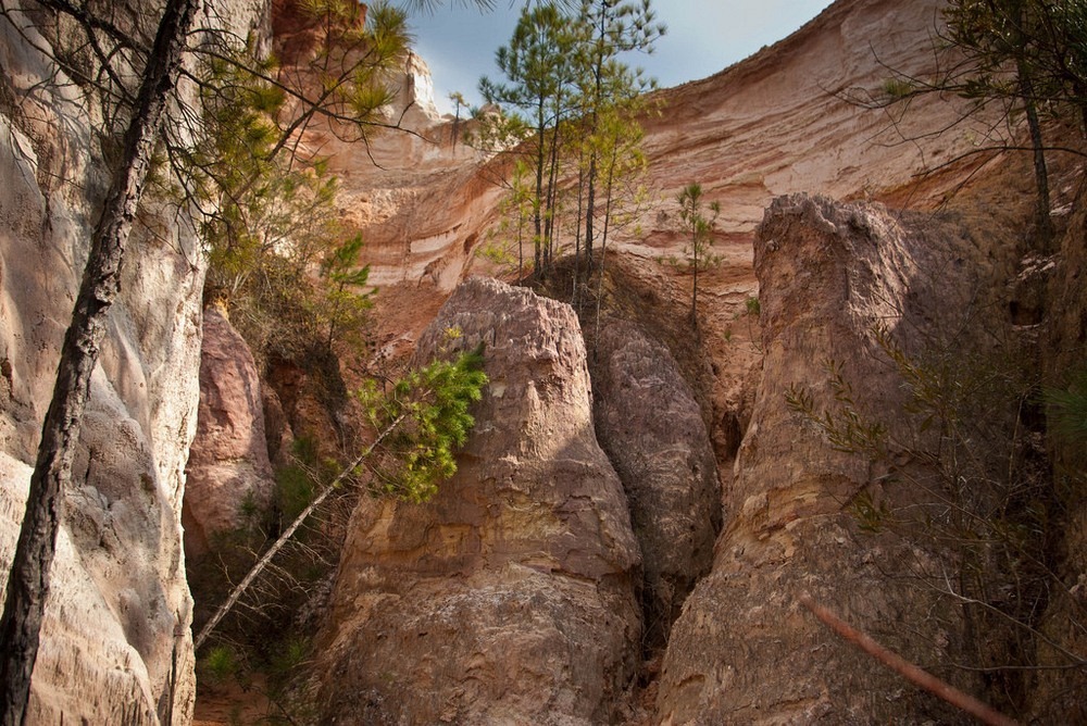 Providence Canyon: une merveille naturelle créée par l'homme Providence Canyon une merveille naturelle creee par l homme 7 Providence-Canyon-une-merveille-naturelle-creee-par-l-homme-7