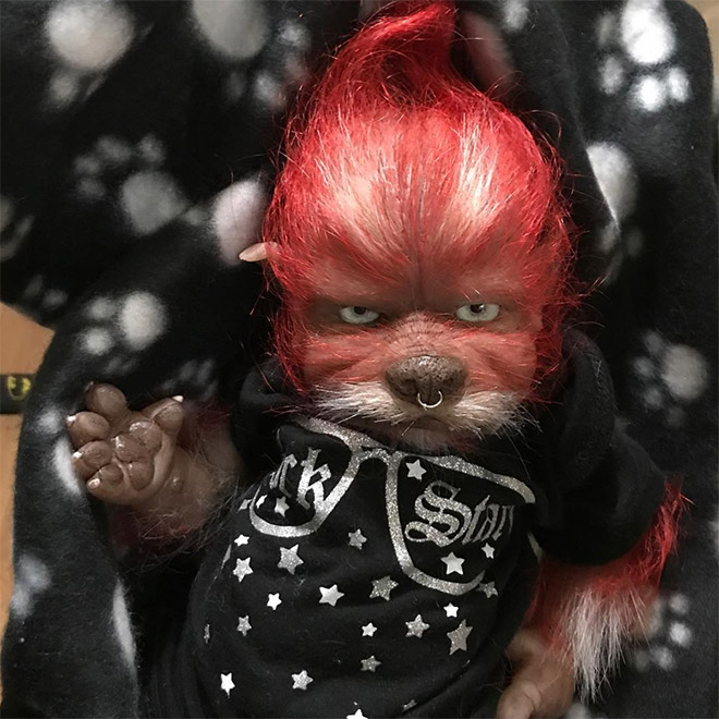 Werepups - les poupons loup-garou de Asia Eriksen Werepups les poupons loup garou de Asia Eriksen 17 Werepups-les-poupons-loup-garou-de-Asia-Eriksen-17