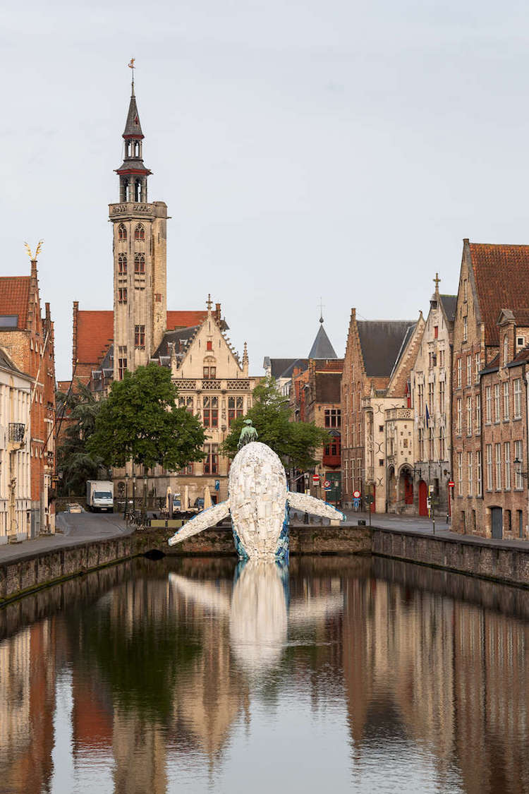 Une sculpture de baleine en vieux plastiques dans un canal de Bruges une sculpture de baleine en vieux plastiques dans un canal de Bruges 10 une-sculpture-de-baleine-en-vieux-plastiques-dans-un-canal-de-Bruges-10