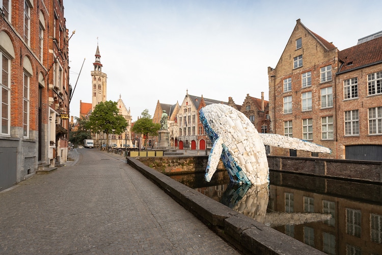 Une sculpture de baleine en vieux plastiques dans un canal de Bruges une sculpture de baleine en vieux plastiques dans un canal de Bruges 11 une-sculpture-de-baleine-en-vieux-plastiques-dans-un-canal-de-Bruges-11