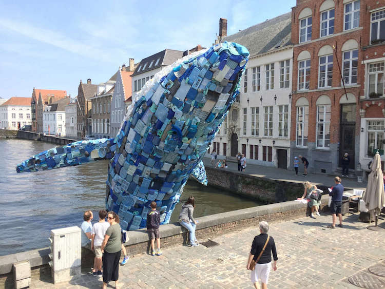 Une sculpture de baleine en vieux plastiques dans un canal de Bruges une sculpture de baleine en vieux plastiques dans un canal de Bruges 3 une-sculpture-de-baleine-en-vieux-plastiques-dans-un-canal-de-Bruges-3