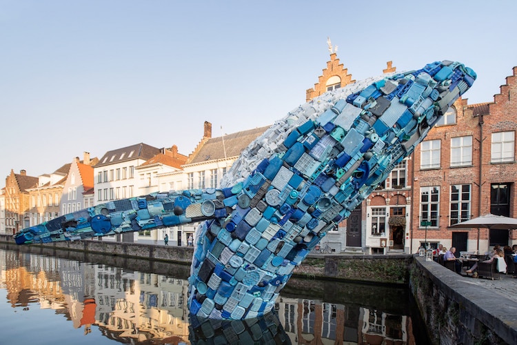 Une sculpture de baleine en vieux plastiques dans un canal de Bruges une sculpture de baleine en vieux plastiques dans un canal de Bruges 9 une-sculpture-de-baleine-en-vieux-plastiques-dans-un-canal-de-Bruges-9