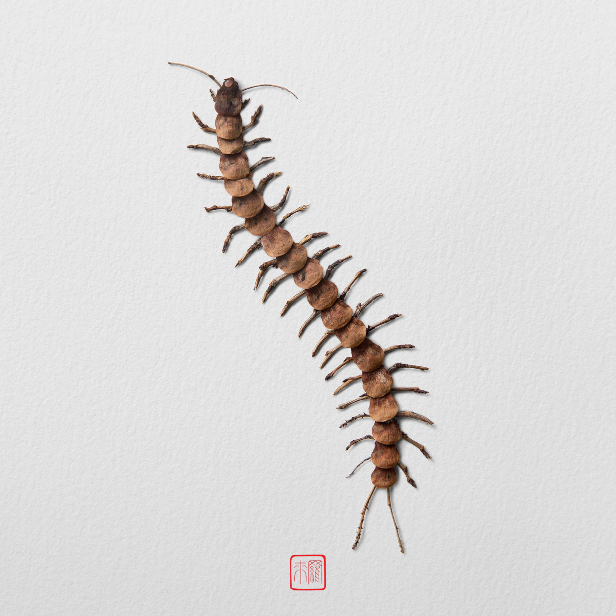 De nouveaux insectes de fleurs par Raku Inoue De nouveaux insectes de fleurs par Raku Inoue 10 De-nouveaux-insectes-de-fleurs-par-Raku-Inoue-10