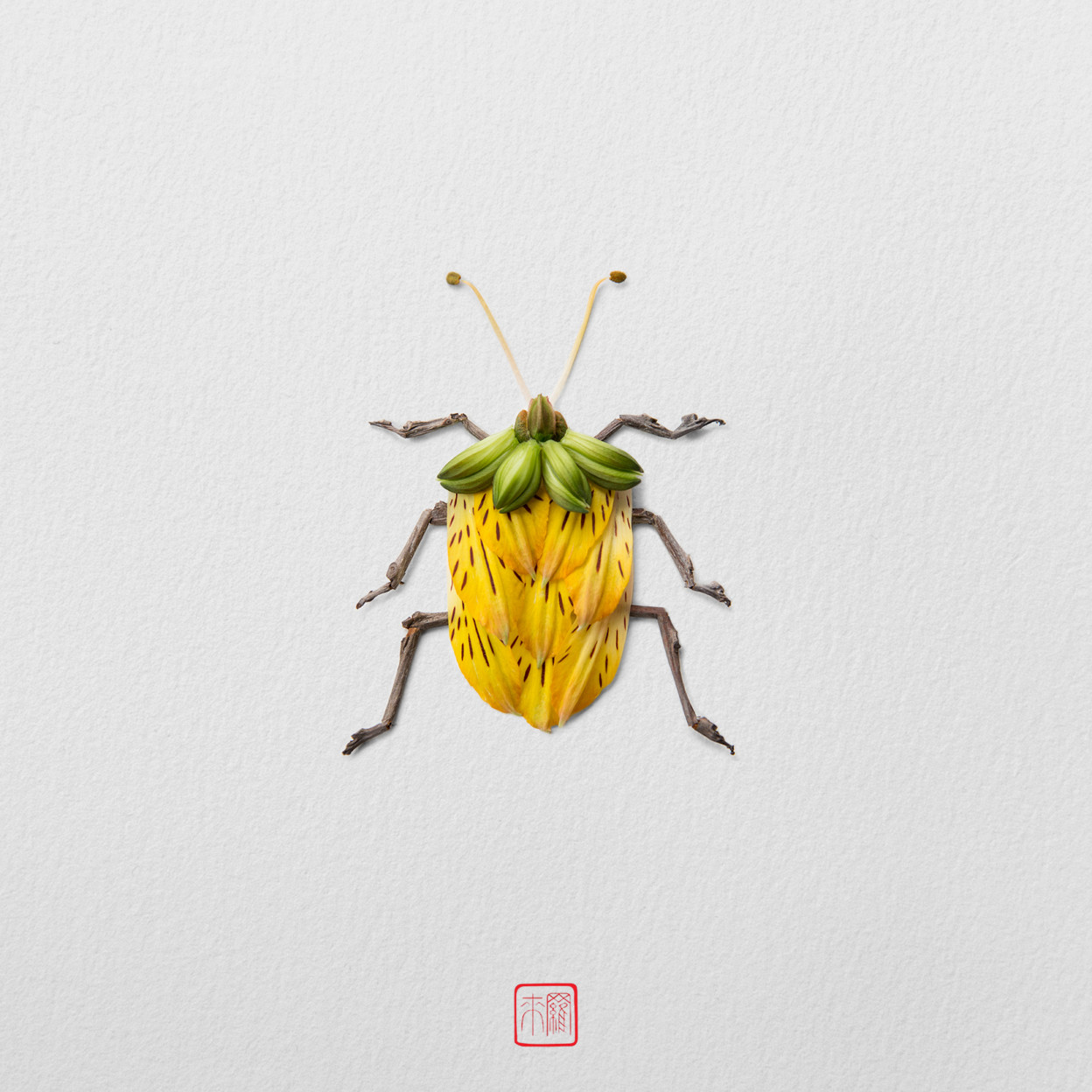 De nouveaux insectes de fleurs par Raku Inoue De nouveaux insectes de fleurs par Raku Inoue 12 De-nouveaux-insectes-de-fleurs-par-Raku-Inoue-12