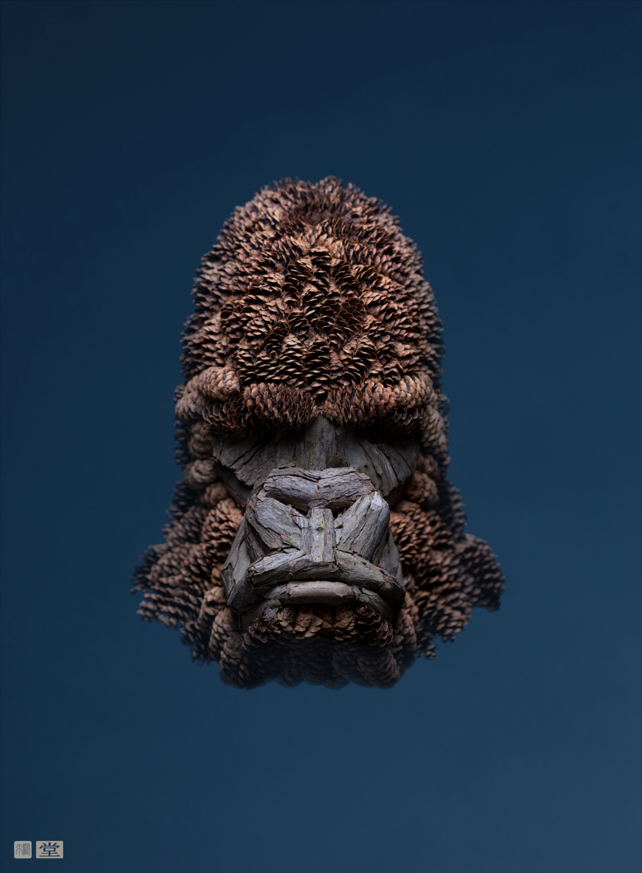 De nouveaux insectes de fleurs par Raku Inoue De nouveaux insectes de fleurs par Raku Inoue 3 De-nouveaux-insectes-de-fleurs-par-Raku-Inoue-3