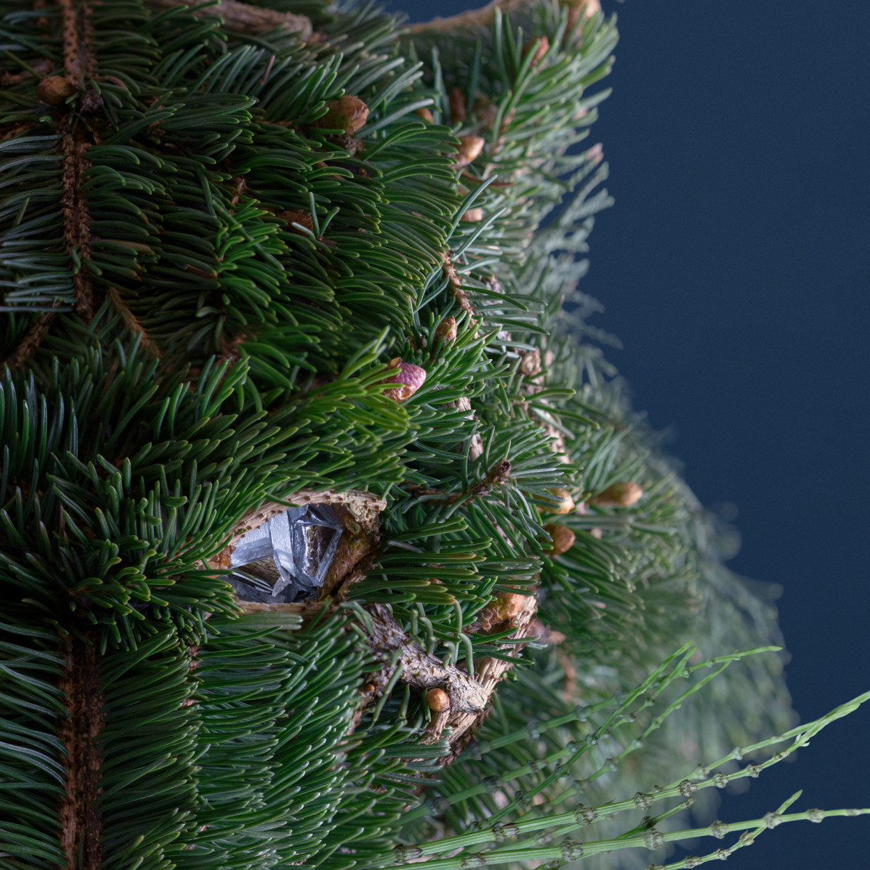 De nouveaux insectes de fleurs par Raku Inoue De nouveaux insectes de fleurs par Raku Inoue 6 De-nouveaux-insectes-de-fleurs-par-Raku-Inoue-6