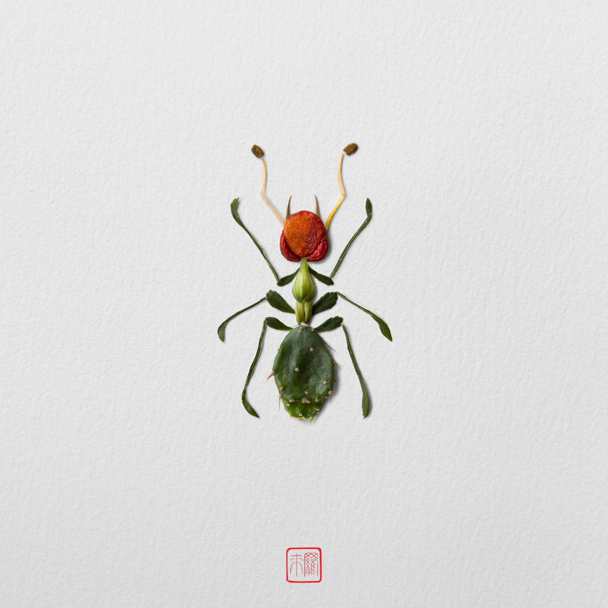 De nouveaux insectes de fleurs par Raku Inoue De nouveaux insectes de fleurs par Raku Inoue 7 De-nouveaux-insectes-de-fleurs-par-Raku-Inoue-7