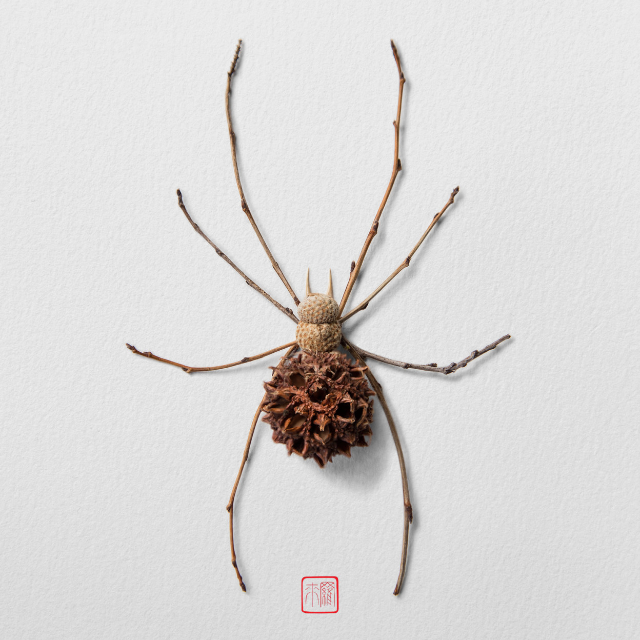 De nouveaux insectes de fleurs par Raku Inoue De nouveaux insectes de fleurs par Raku Inoue 9 De-nouveaux-insectes-de-fleurs-par-Raku-Inoue-9