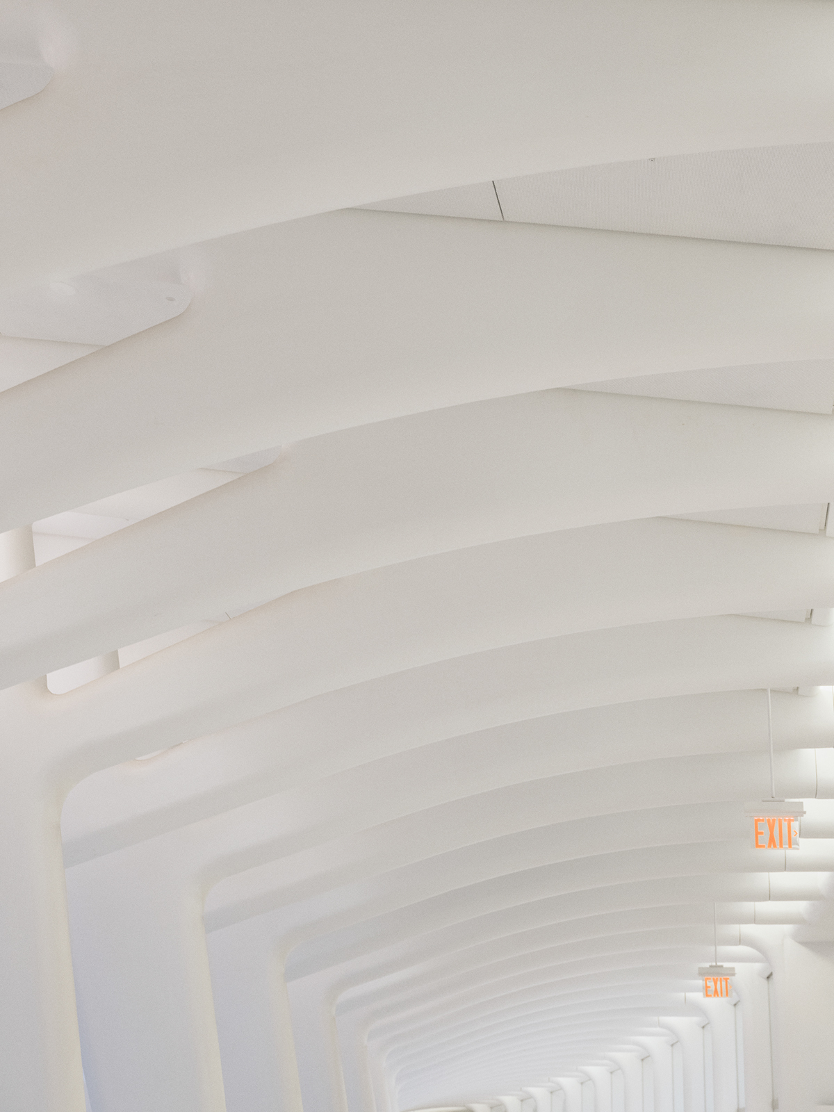 L'oculus de New York par Ludwig Favre L oculus de New York par Ludwig Favre 3 L-oculus-de-New-York-par-Ludwig-Favre-3