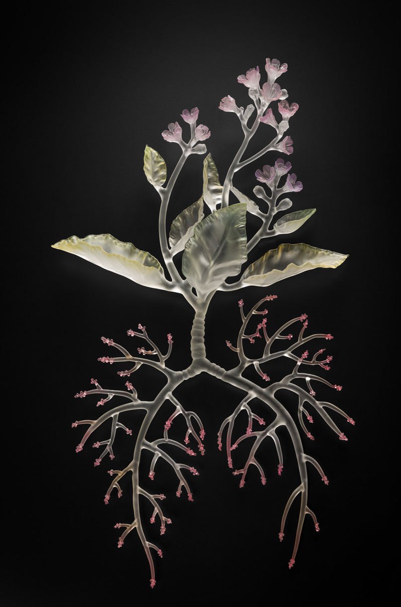 Les étonnantes et complexes sculptures de verre de Janis Miltenberger Les etonnantes et complexes sculptures de verre de Janis Miltenberger 12 Les-etonnantes-et-complexes-sculptures-de-verre-de-Janis-Miltenberger-12