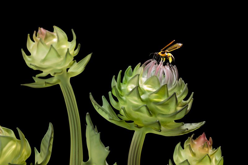 Les étonnantes et complexes sculptures de verre de Janis Miltenberger Les etonnantes et complexes sculptures de verre de Janis Miltenberger 5 Les-etonnantes-et-complexes-sculptures-de-verre-de-Janis-Miltenberger-5