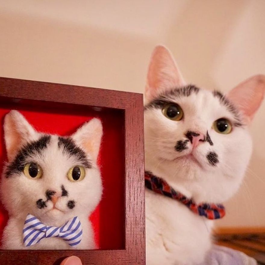 Les portraits de chats en 3D hyper-réalistes de Wakuneco Les portraits de chats en 3D hyper realistes de Wakuneco 3 Les-portraits-de-chats-en-3D-hyper-realistes-de-Wakuneco-3