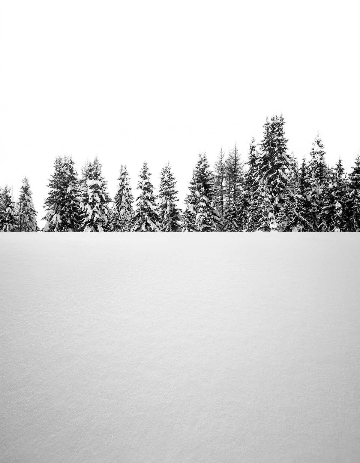 Natu.rae - les magnifiques photos de nature de Gustav Willeit Natu rea les magnifiques photos de nature de Gustav Willeit 13 Natu-rea-les-magnifiques-photos-de-nature-de-Gustav-Willeit-13