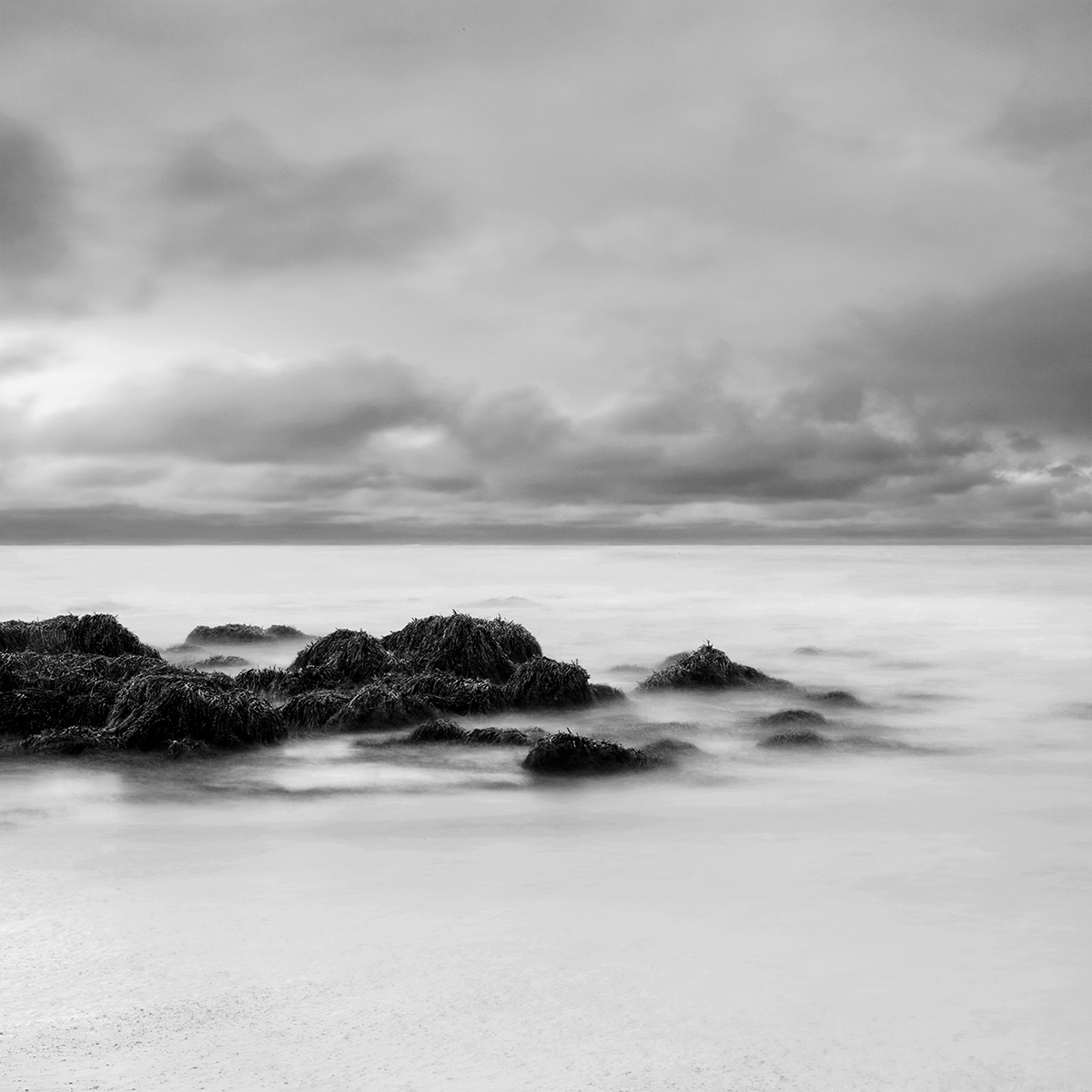 Natu.rae - les magnifiques photos de nature de Gustav Willeit Natu rea les magnifiques photos de nature de Gustav Willeit 18 Natu-rea-les-magnifiques-photos-de-nature-de-Gustav-Willeit-18