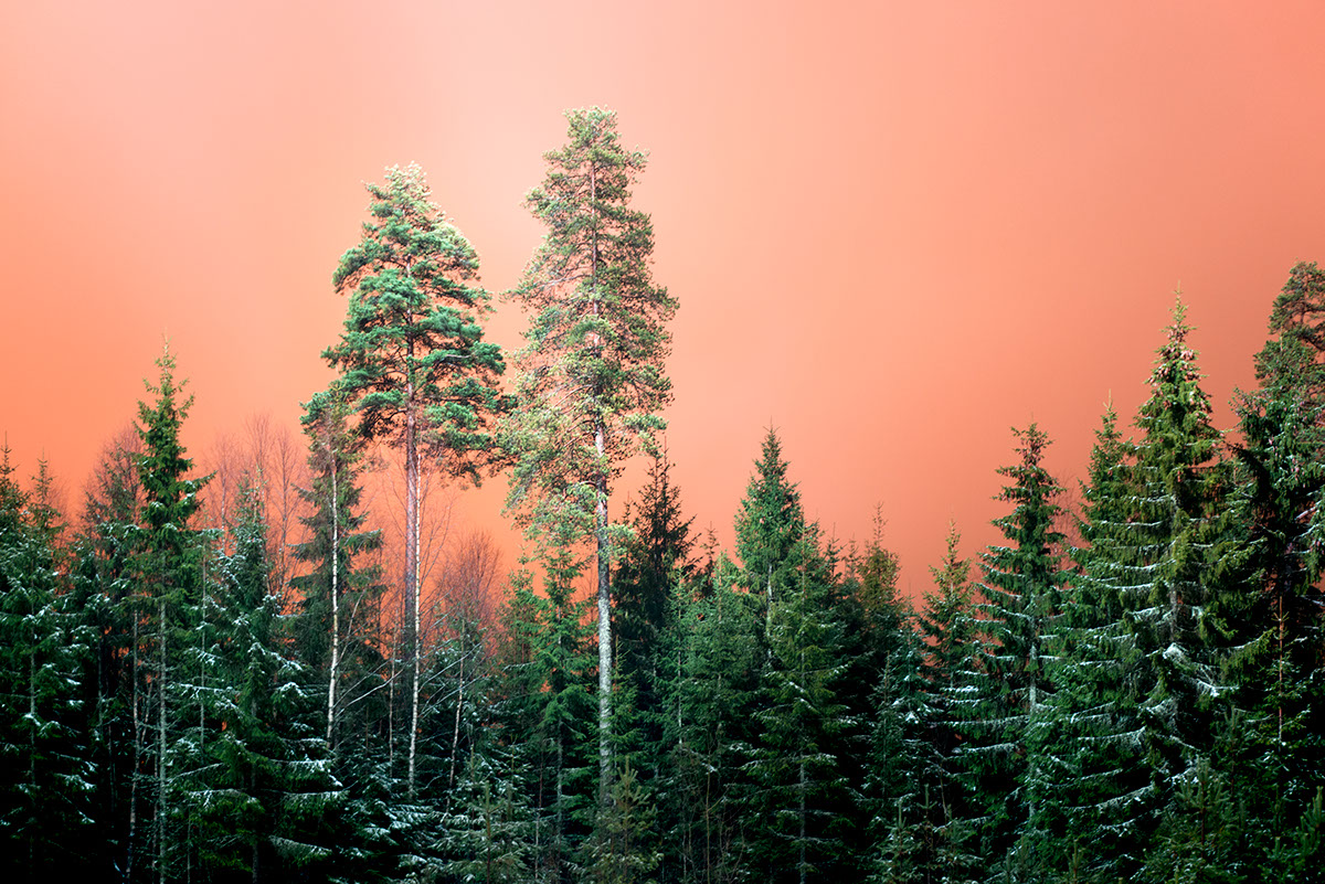 Getting Lost - disparaitre de la routine par Øystein Sture Aspelund Getting Lost disparaitre de la routine par Oystein Sture Aspelund 12 Getting-Lost-disparaitre-de-la-routine-par-Oystein-Sture-Aspelund-12