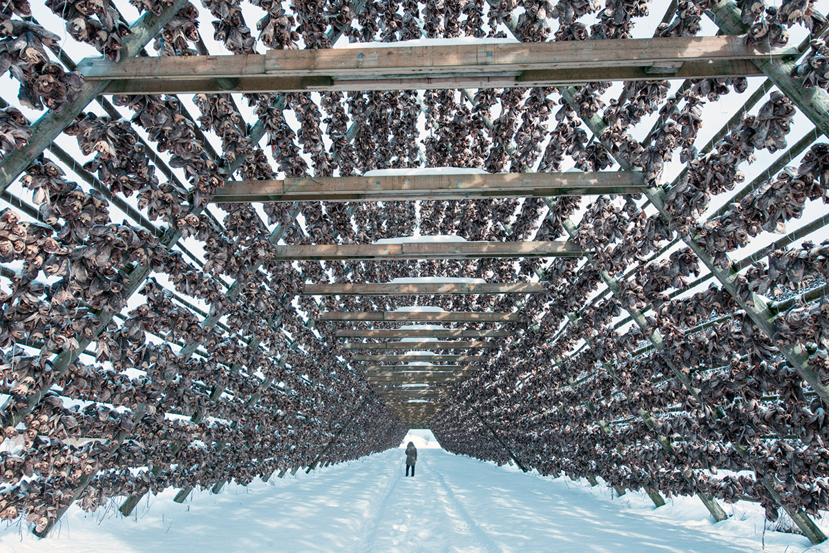 Getting Lost - disparaitre de la routine par Øystein Sture Aspelund Getting Lost disparaitre de la routine par Oystein Sture Aspelund 9 Getting-Lost-disparaitre-de-la-routine-par-Oystein-Sture-Aspelund-9