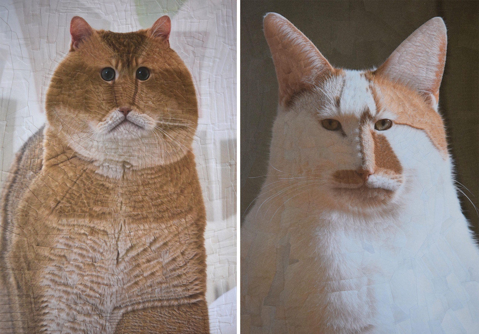 des portraits surréalistes de chiens et de chats en collages par Lola Dupré des portraits surrealistes de chiens et de chats en collages par Lola Dupre 5 des-portraits-surrealistes-de-chiens-et-de-chats-en-collages-par-Lola-Dupre-5