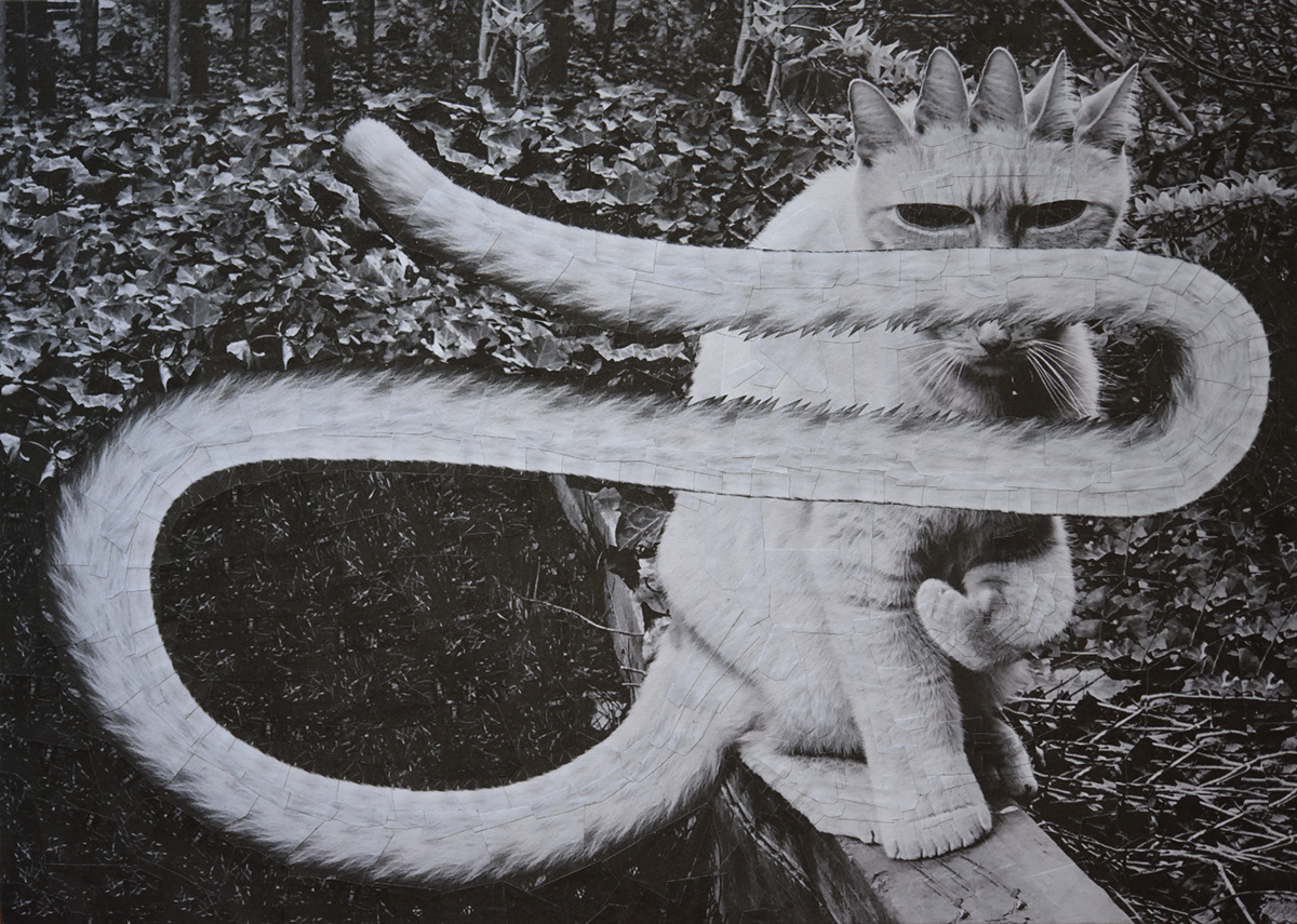 des portraits surréalistes de chiens et de chats en collages par Lola Dupré des portraits surrealistes de chiens et de chats en collages par Lola Dupre 8 des-portraits-surrealistes-de-chiens-et-de-chats-en-collages-par-Lola-Dupre-8