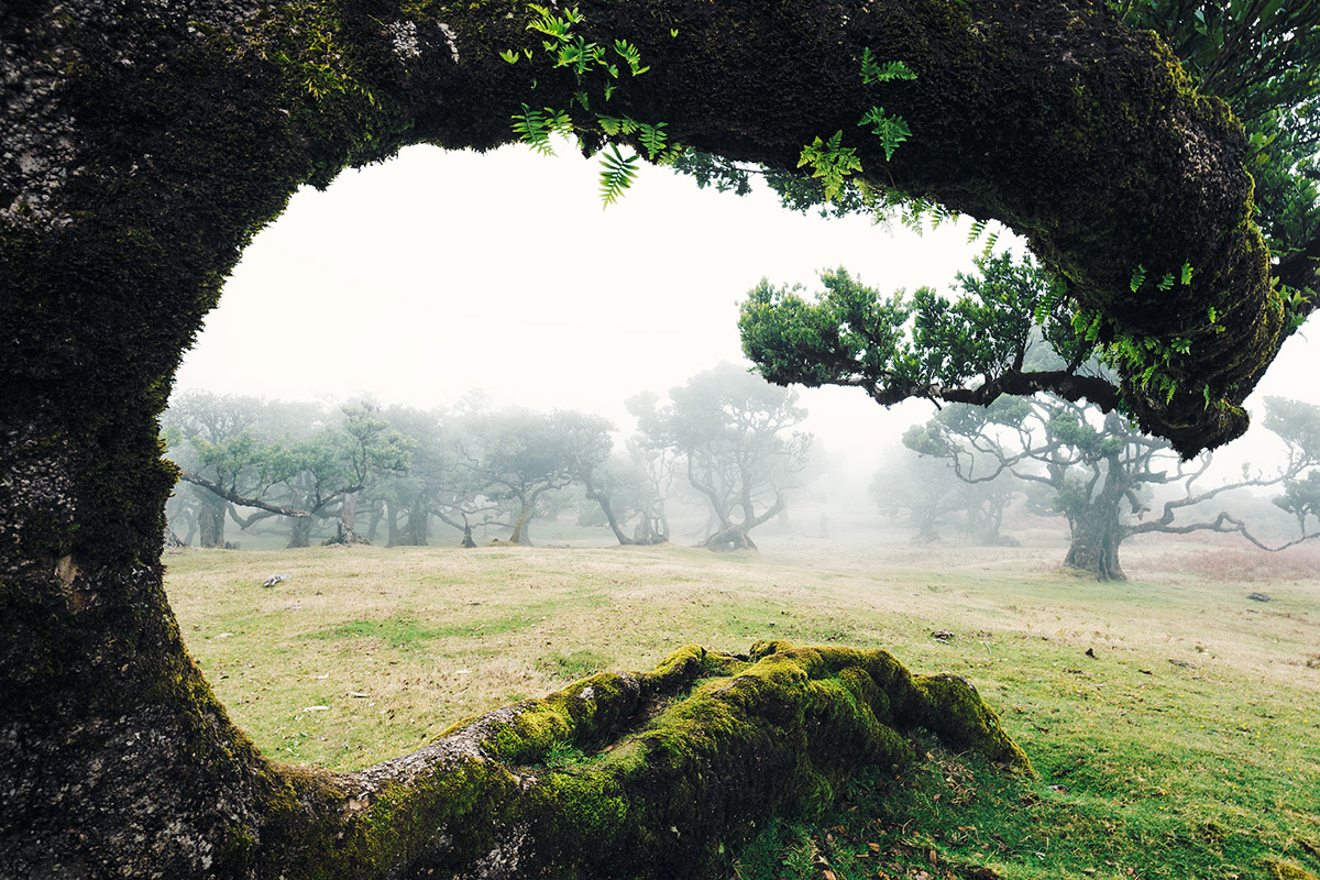L'ile de Madère par Lukas Furlan l ile de Madeire par Portugal Lukas Furlan 17 l-ile-de-Madeire-par-Portugal-Lukas-Furlan-17