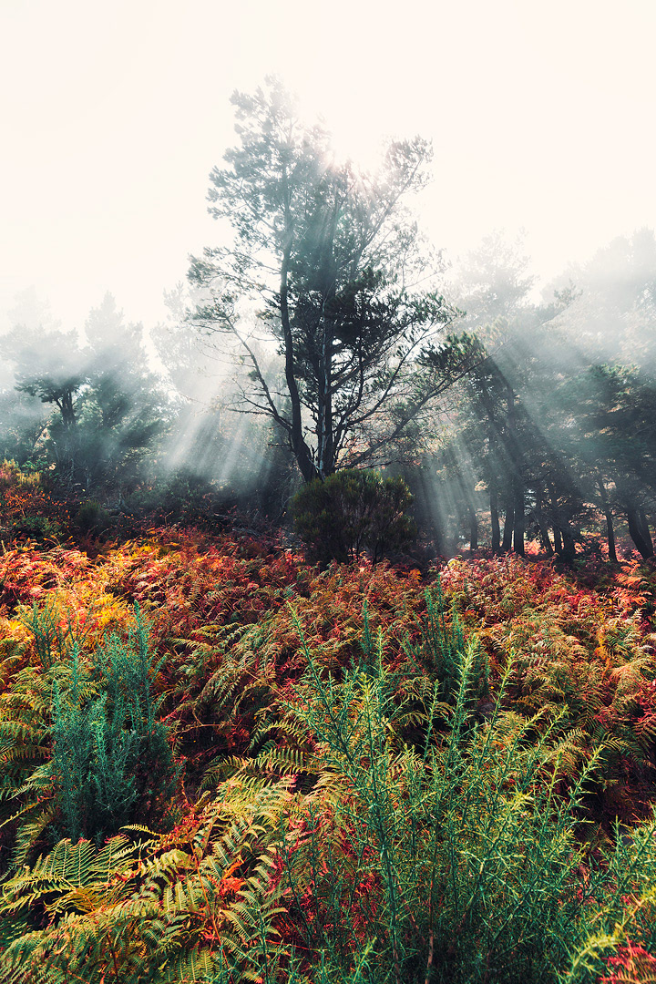 L'ile de Madère par Lukas Furlan l ile de Madeire par Portugal Lukas Furlan 5 l-ile-de-Madeire-par-Portugal-Lukas-Furlan-5
