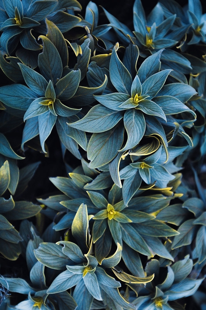 L'ile de Madère par Lukas Furlan l ile de Madeire par Portugal Lukas Furlan 7 l-ile-de-Madeire-par-Portugal-Lukas-Furlan-7
