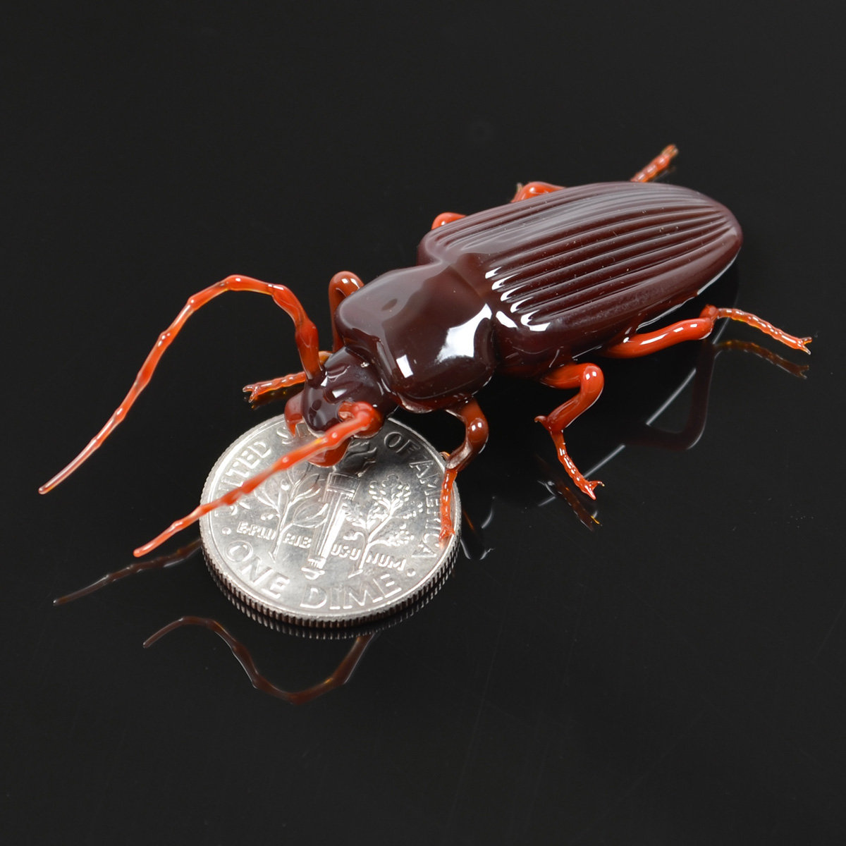 Les délicats insectes de verre de Wesley Fleming Les delicats insectes de verre de Wesley Fleming 6 Les-delicats-insectes-de-verre-de-Wesley-Fleming-6