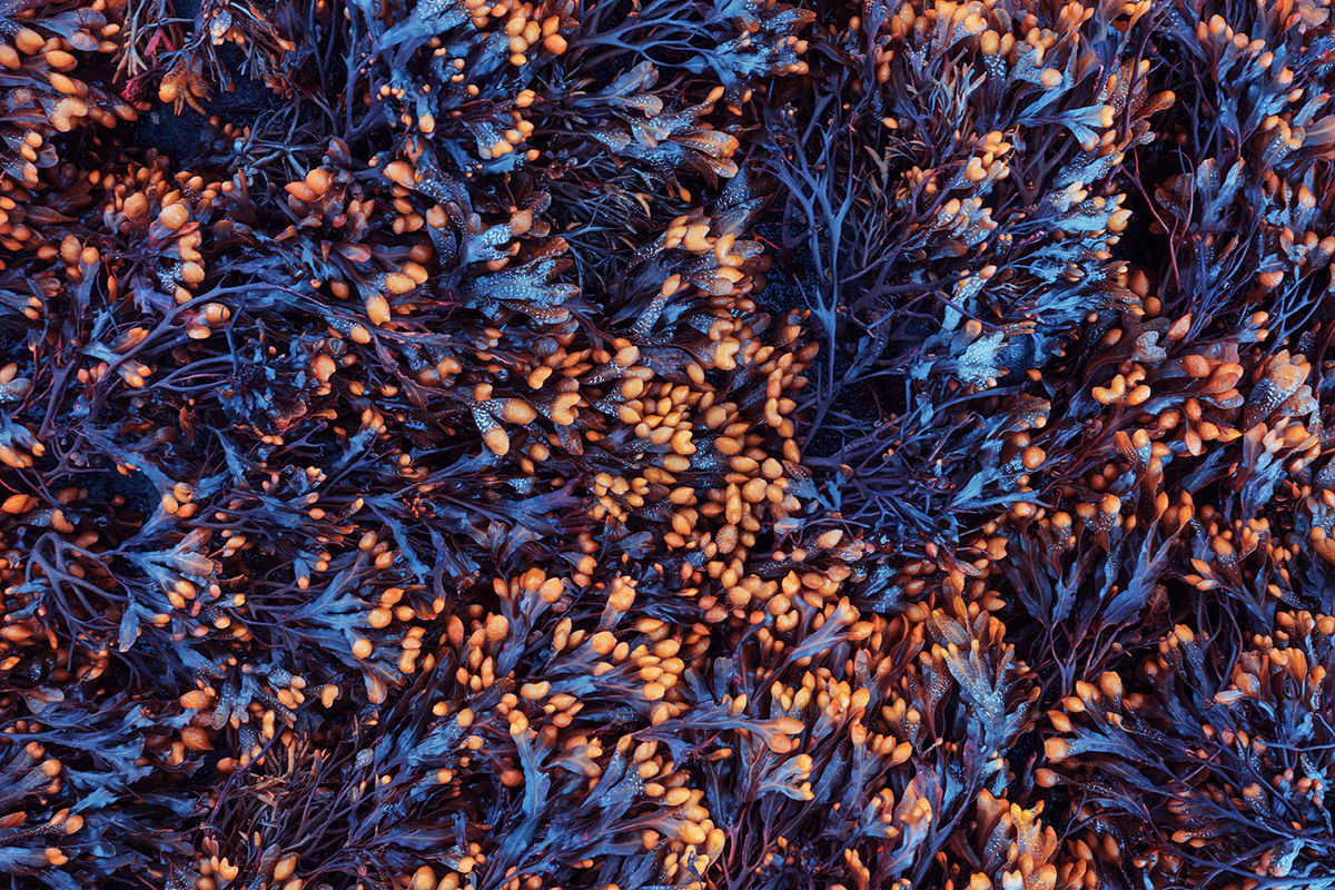 Paysages d'Ecosse par Lukas Furlan Paysages d Ecosse par Lukas Furlan 9 Paysages-d-Ecosse-par-Lukas-Furlan-9