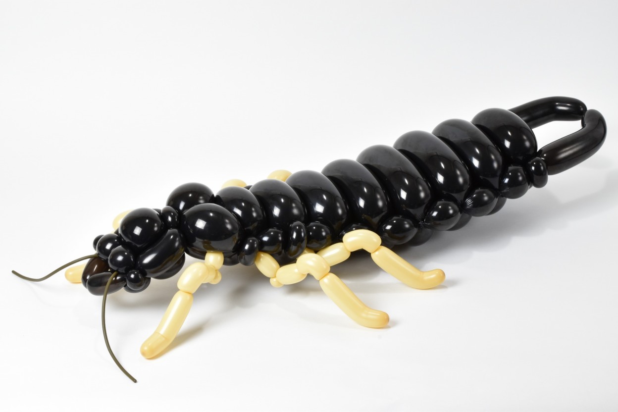 de nouvelles sculptures d'animaux en ballons de baudruche par Masayoshi Matsumoto de nouvelles sculptures d animaux en ballons de baudruche par Masayoshi Matsumoto 4 de-nouvelles-sculptures-d-animaux-en-ballons-de-baudruche-par-Masayoshi-Matsumoto-4