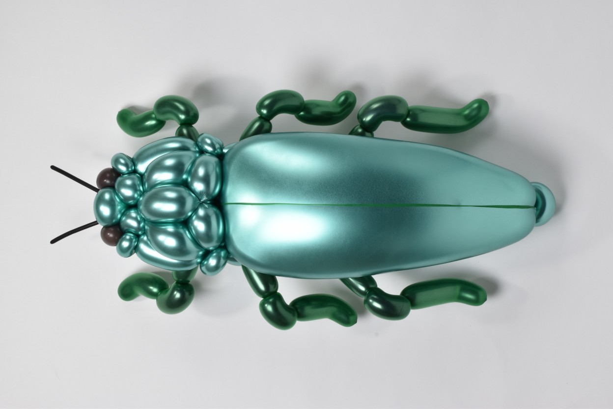 de nouvelles sculptures d'animaux en ballons de baudruche par Masayoshi Matsumoto de nouvelles sculptures d animaux en ballons de baudruche par Masayoshi Matsumoto 7 de-nouvelles-sculptures-d-animaux-en-ballons-de-baudruche-par-Masayoshi-Matsumoto-7