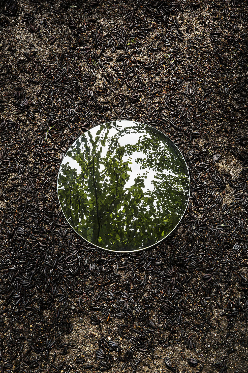 reflections - des photos avec un miroir sphérique par Sebastian Magnani reflections des photos avec un miroir spherique par Sebastian Magnani 9 reflections-des-photos-avec-un-miroir-spherique-par-Sebastian-Magnani-9