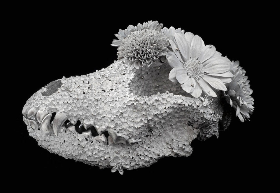 Flower Funeral - des crânes en fleurs métalliques par Kengo Takahashi Flower Funeral des cranes en fleurs metalliques par Kengo Takahashi 2 Flower-Funeral-des-cranes-en-fleurs-metalliques-par-Kengo-Takahashi-2