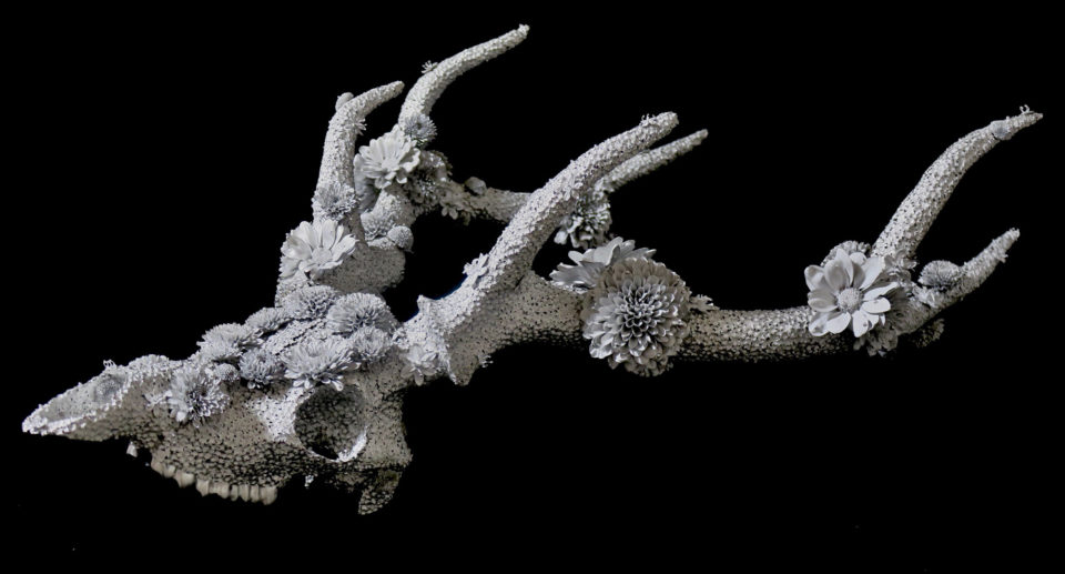 Flower Funeral - des crânes en fleurs métalliques par Kengo Takahashi Flower Funeral des cranes en fleurs metalliques par Kengo Takahashi 9 Flower-Funeral-des-cranes-en-fleurs-metalliques-par-Kengo-Takahashi-9