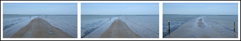 Le passage du Gois, une étonnante route praticable seulement à marée basse Le passage du Gois une etonnante route praticable seulement a maree basse 1 Le-passage-du-Gois-une-etonnante-route-praticable-seulement-a-maree-basse-1