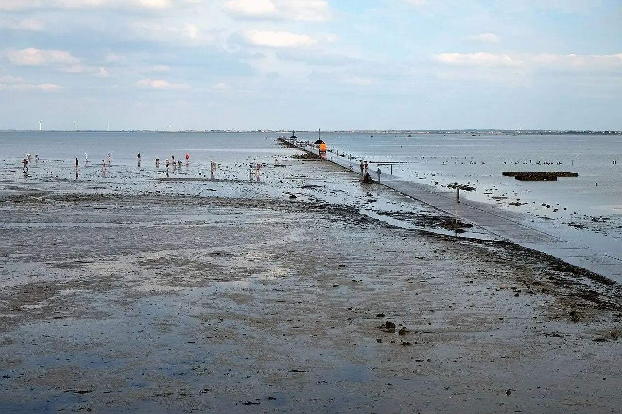 Le passage du Gois une etonnante route praticable seulement a maree basse 11 Le passage du Gois une etonnante route praticable seulement a maree basse 11
