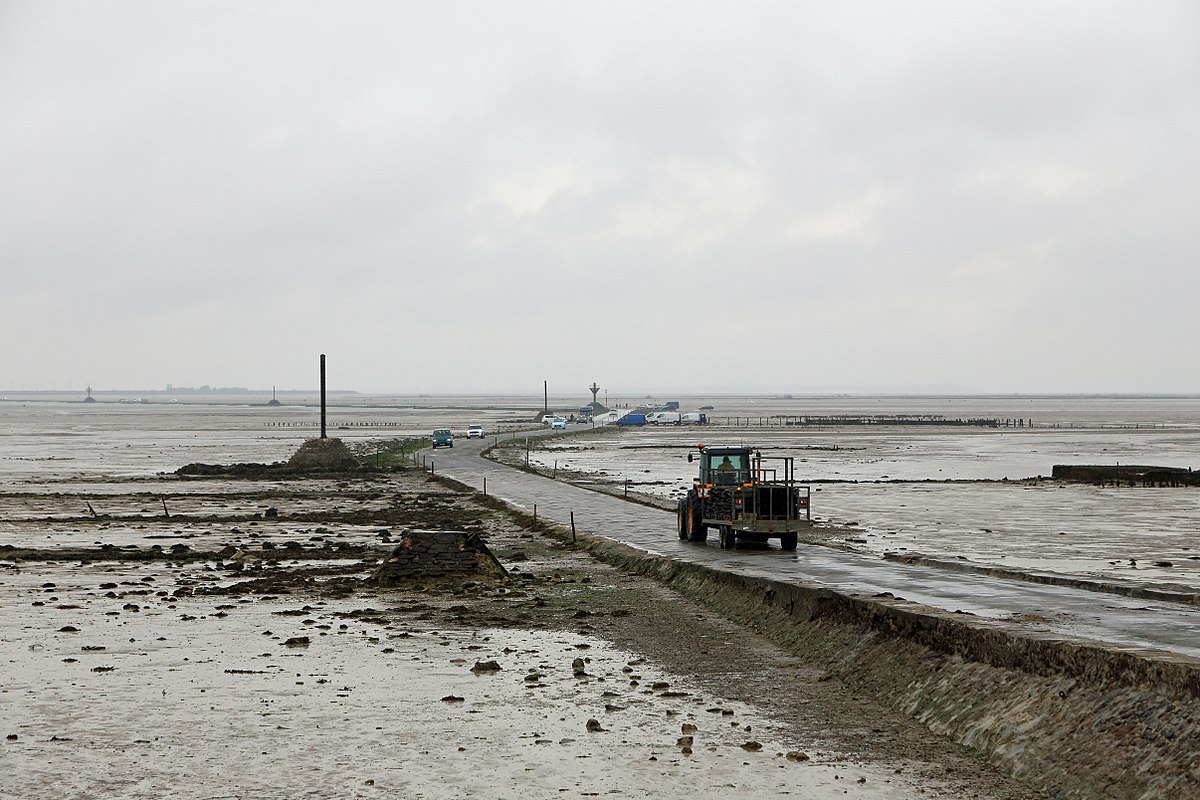 Le passage du Gois, une étonnante route praticable seulement à marée basse Le passage du Gois une etonnante route praticable seulement a maree basse 12 Le-passage-du-Gois-une-etonnante-route-praticable-seulement-a-maree-basse-12