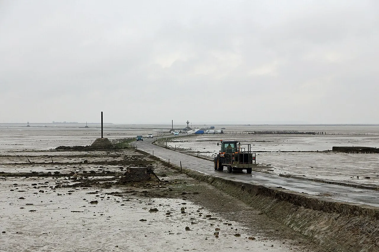 Le passage du Gois une etonnante route praticable seulement a maree basse 12 Le passage du Gois une etonnante route praticable seulement a maree basse 12