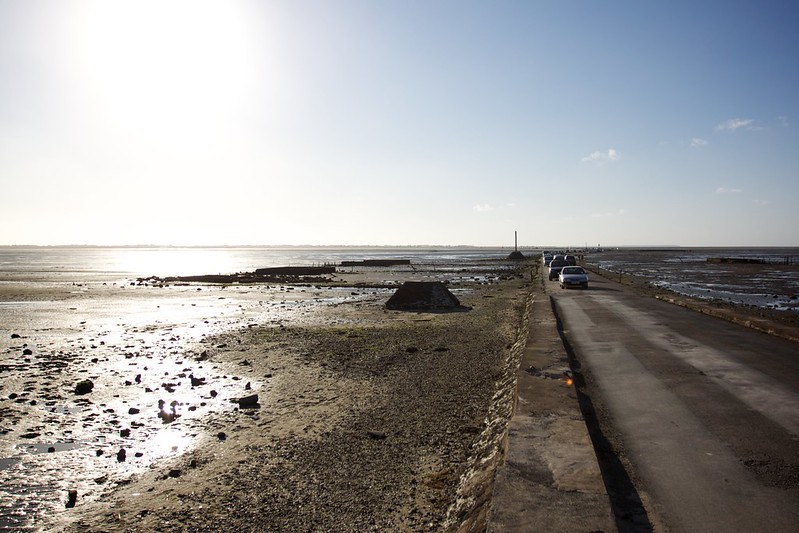 Le passage du Gois, une étonnante route praticable seulement à marée basse Le passage du Gois une etonnante route praticable seulement a maree basse 3 Le-passage-du-Gois-une-etonnante-route-praticable-seulement-a-maree-basse-3