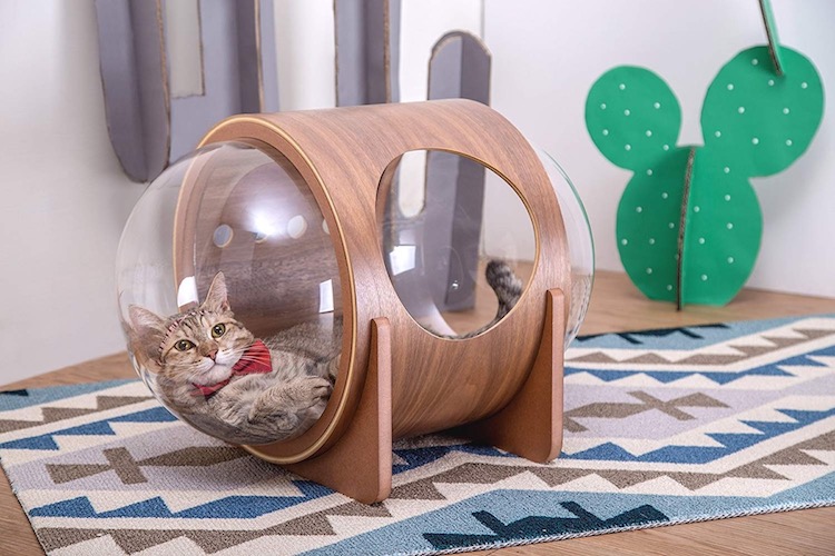 Spaceship - des lits pour chats en forme de capsule spatiale Spaceship des lits pour chats en forme de capsule spatiale 4 Spaceship-des-lits-pour-chats-en-forme-de-capsule-spatiale-4