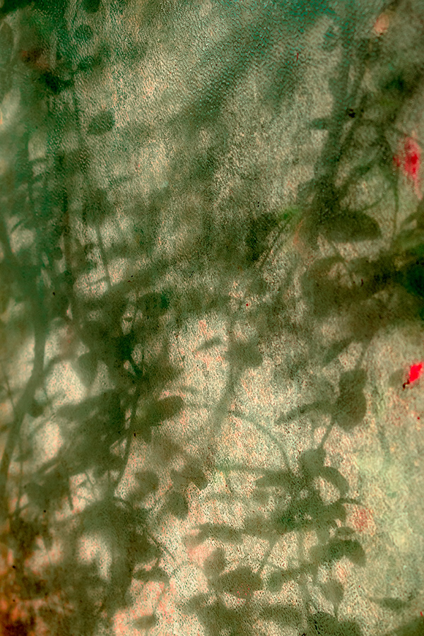 Strange Leaves, les feuilles étranges de Al Mefer Strange Leaves les feuilles etranges de Al Mefer 13 Strange-Leaves-les-feuilles-etranges-de-Al-Mefer-13